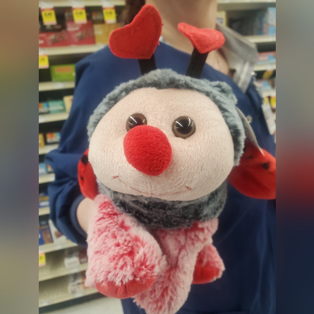 Brand New Ladybug Plushies Purse sooo soft